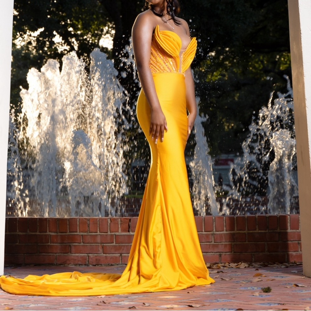 Albina Dyla Dress - Picture 3 of 4